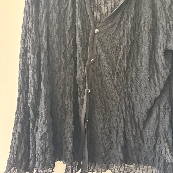 Cider Sheer Button Down - Picture 3 of 5